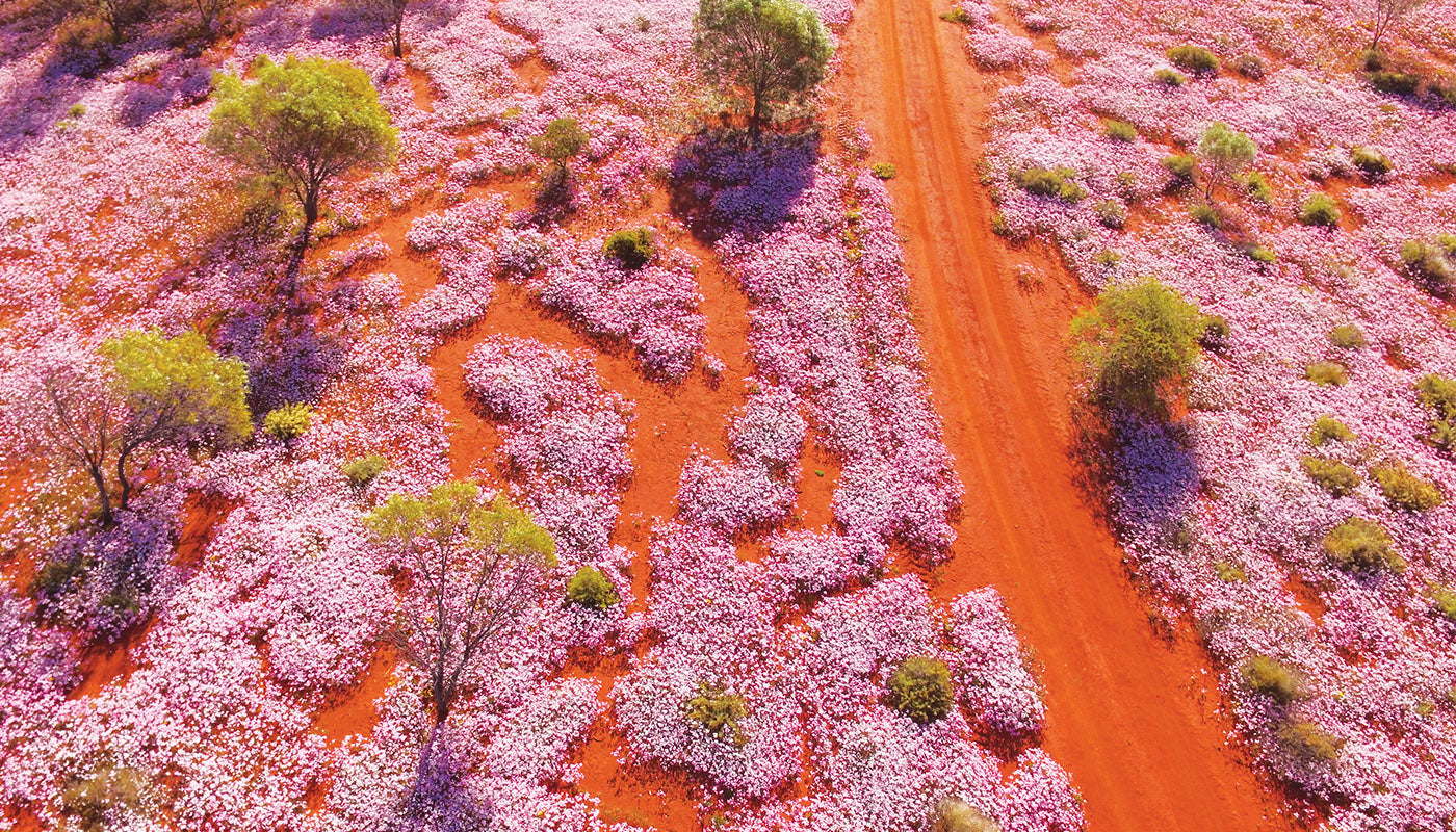 MURCHISON RIVER MGO300+ HONIG