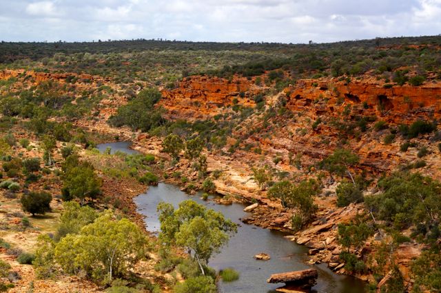 MURCHISON RIVER MGO300+ HONIG